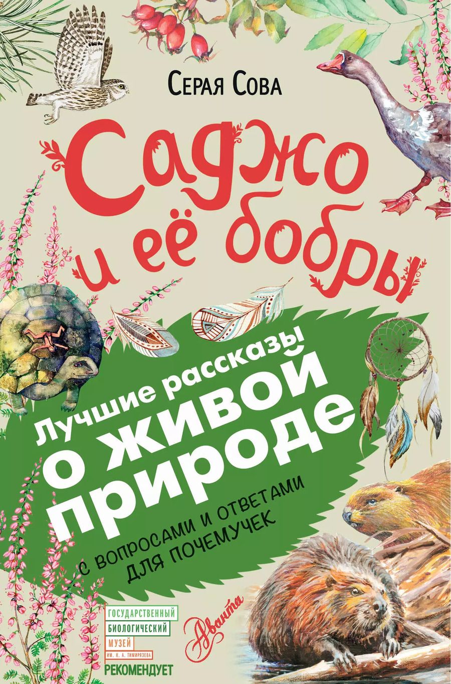 Обложка книги "Серая Сова: Саджо и её бобры"