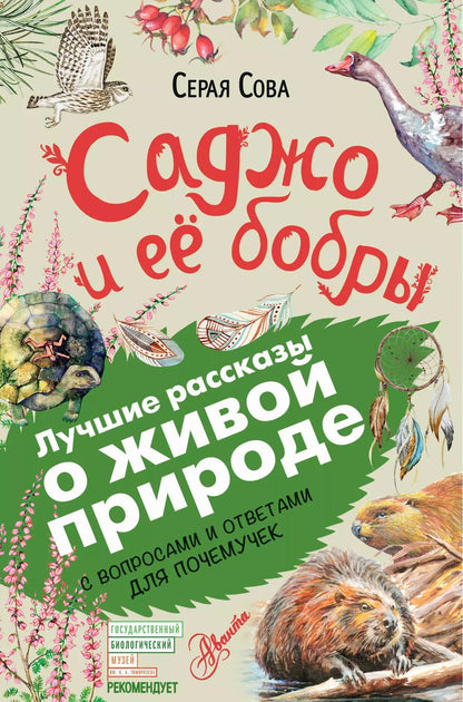 Обложка книги "Серая Сова: Саджо и её бобры"