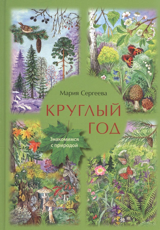 Обложка книги "Сергеева: Круглый год. Знакомимся с природой"