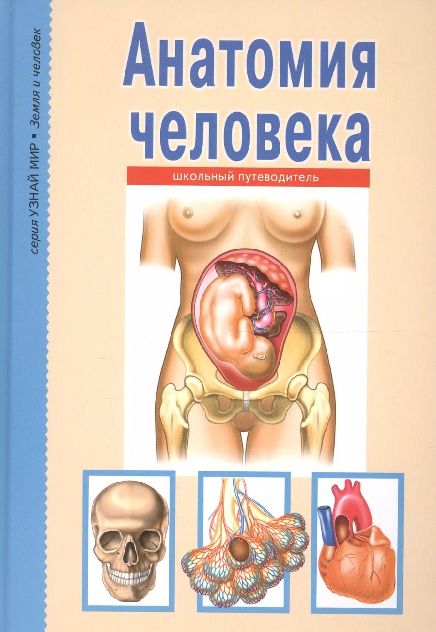 Обложка книги "Сергей Афонькин: Анатомия человека"