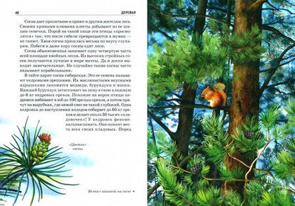 Фотография книги "Сергей Афонькин: Деревья. Школьный путеводитель"