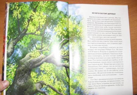 Фотография книги "Сергей Афонькин: Деревья. Школьный путеводитель"