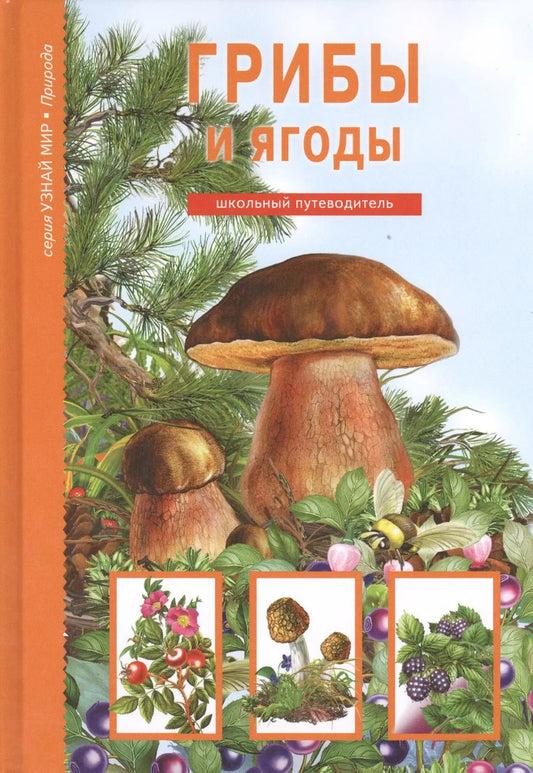 Обложка книги "Сергей Афонькин: Грибы и ягоды."