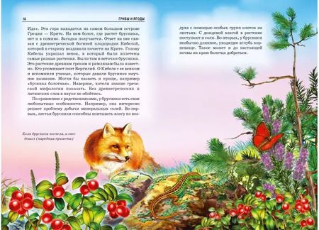 Фотография книги "Сергей Афонькин: Грибы и ягоды."