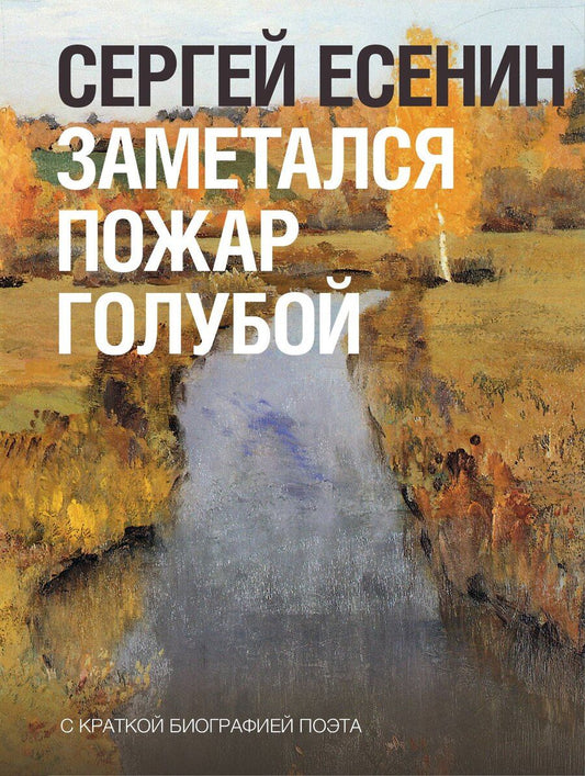 Обложка книги "Сергей Александрович: Заметался пожар голубой"
