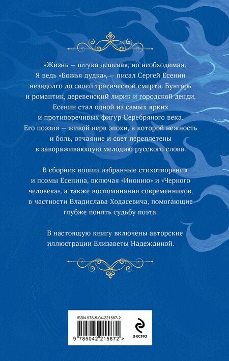 Фотография книги "Сергей Александрович: Заметался пожар голубой"