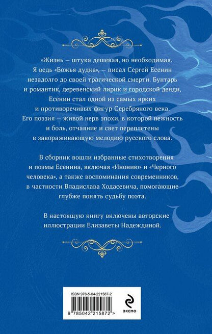 Фотография книги "Сергей Александрович: Заметался пожар голубой"