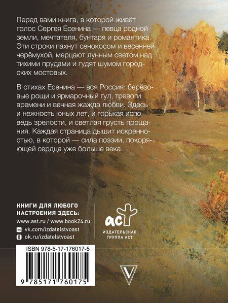 Фотография книги "Сергей Александрович: Заметался пожар голубой"