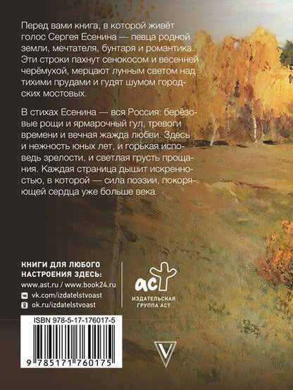 Фотография книги "Сергей Александрович: Заметался пожар голубой"