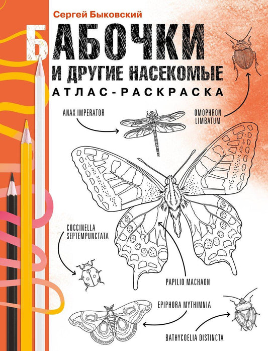Обложка книги "Сергей Быковский: Бабочки и другие насекомые"