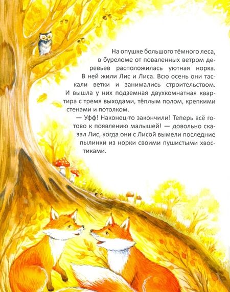Фотография книги "Сергей Духин: Приключения лисёнка Джимми. Маленький храбрец"