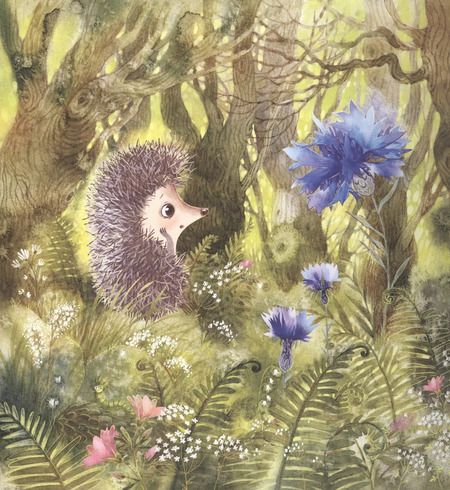 Фотография книги "Сергей Козлов: Ежик и море. Сказки"