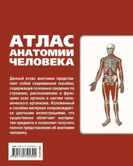 Фотография книги "Сергей Левкин: Атлас анатомии человека"