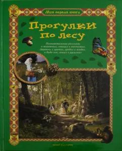 Обложка книги "Сергей Махотин: Прогулки по лесу"