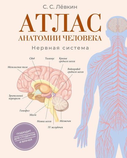 Обложка книги "Сергей Сергеевич: Атлас анатомии человека. Нервная система"