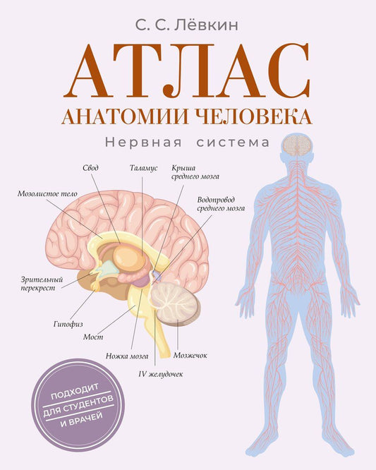 Обложка книги "Сергей Сергеевич: Атлас анатомии человека. Нервная система"