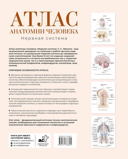 Фотография книги "Сергей Сергеевич: Атлас анатомии человека. Нервная система"