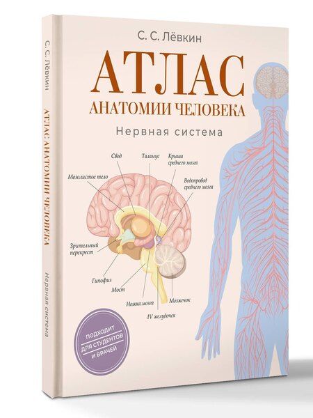 Фотография книги "Сергей Сергеевич: Атлас анатомии человека. Нервная система"