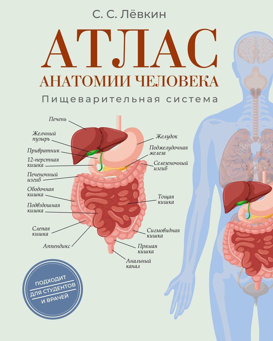 Обложка книги "Сергей Сергеевич: Атлас анатомии человека. Пищеварительная система"