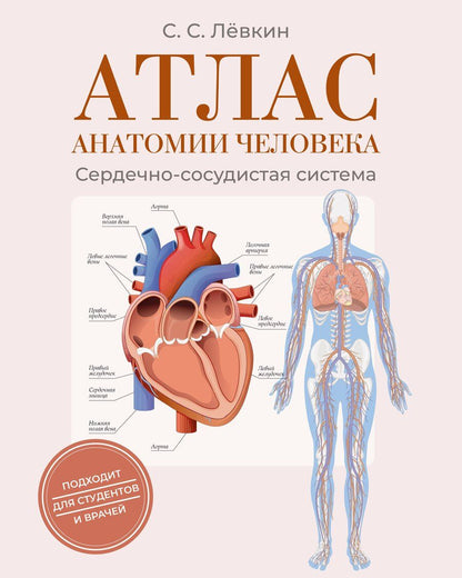 Обложка книги "Сергей Сергеевич: Атлас анатомии человека. Сердечно-сосудистая система"
