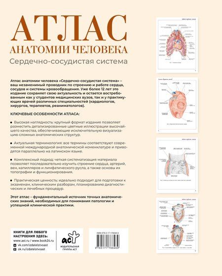 Фотография книги "Сергей Сергеевич: Атлас анатомии человека. Сердечно-сосудистая система"