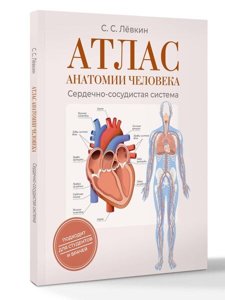 Фотография книги "Сергей Сергеевич: Атлас анатомии человека. Сердечно-сосудистая система"