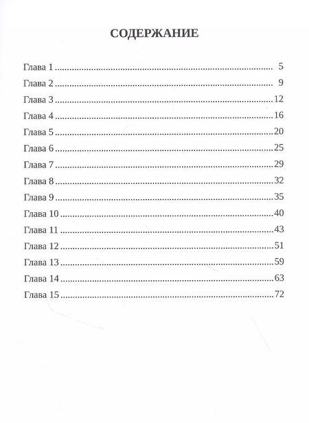 Фотография книги "Сергей Стребков: Действительность не совпадение. Часть 3. На обочине и не пикник. Часть 4. Построить…, и там, и где, и когда…"