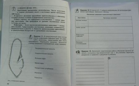 Фотография книги "Сергей Суматохин: Биология. 7 класс. Животные. Рабочая тетрадь"