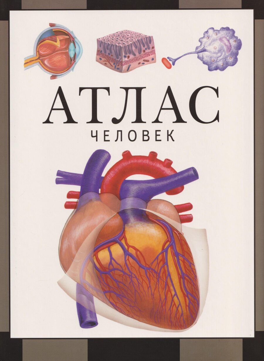 Обложка книги "Сергей Викторович: Человек: атлас"