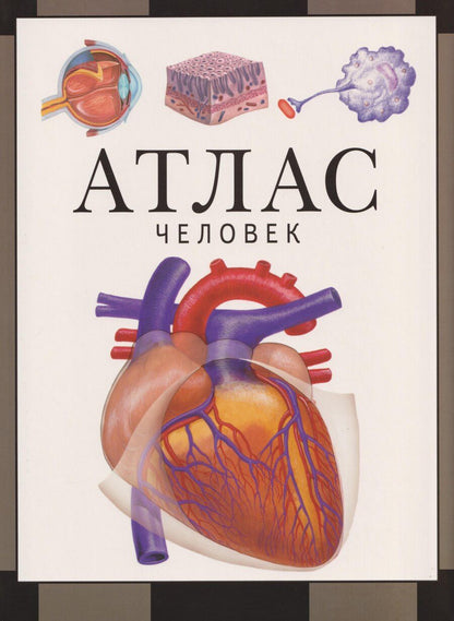 Обложка книги "Сергей Викторович: Человек: атлас"