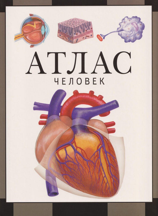 Обложка книги "Сергей Викторович: Человек: атлас"