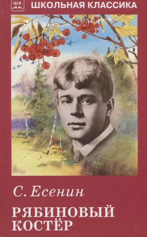 Обложка книги "Сергей Есенин: Рябиновый костёр"