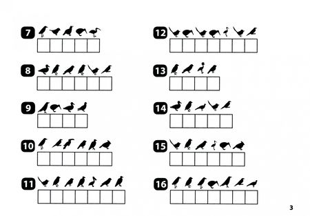Фотография книги "Сергей Зеленко: Окружающий мир. 1-2 класс. Умные шифровки для начальной школы"