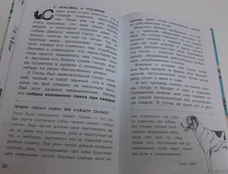 Фотография книги "Сетон-Томпсон: Рассказы о природе"