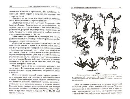 Фотография книги "Шаламова, Крупина, Миникаев: Практикум по цветоводству. Учебное пособие"
