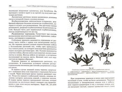 Фотография книги "Шаламова, Крупина, Миникаев: Практикум по цветоводству. Учебное пособие"