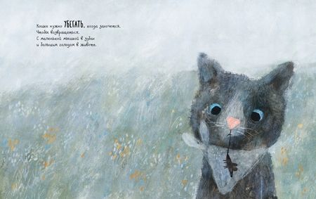 Фотография книги "Шалошвили: Что нужно маленькой кошке"