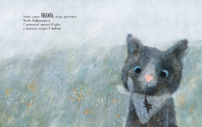 Фотография книги "Шалошвили: Что нужно маленькой кошке"