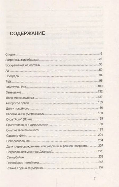 Фотография книги "Шамиль Аляутдинов: О смерти и вечности (тв)"