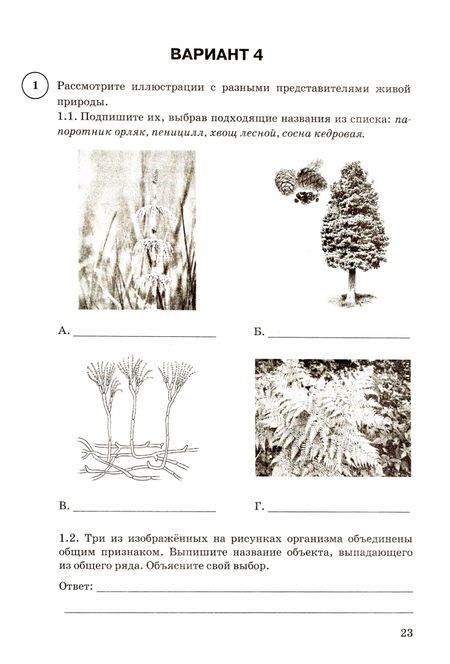 Фотография книги "Шариков, Касаткина: ВПР ФИОКО. Биология. 7 класс. Типовые задания. 15 вариантов. ФГОС"