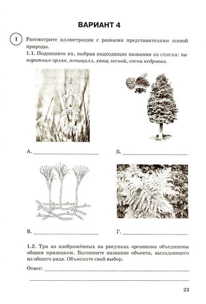 Фотография книги "Шариков, Касаткина: ВПР ФИОКО. Биология. 7 класс. Типовые задания. 15 вариантов. ФГОС"