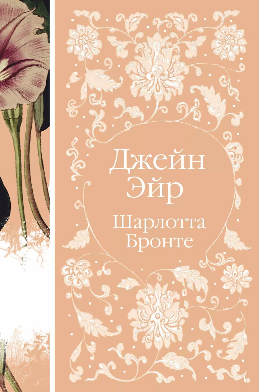 Обложка книги "Шарлотта Бронте: Джейн Эйр"