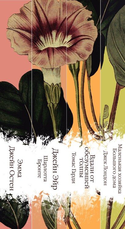 Фотография книги "Шарлотта Бронте: Элегантная коллекция: Джейн Эйр. Эмма. Маленькая хозяйка Большого дома. Вдали от обезумевшей толпы (комплект из 4 книг)"