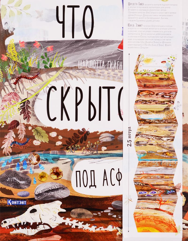 Обложка книги "Шарлотта Гийен: Что скрыто под асфальтом?"