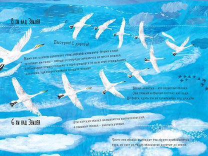 Фотография книги "Шарлотта Гийен: Что скрыто за облаками?"