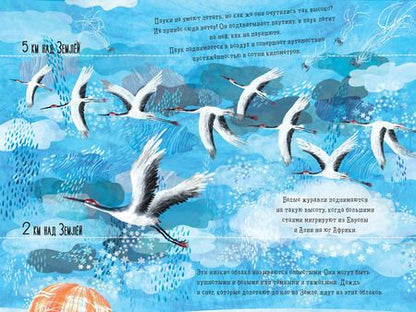 Фотография книги "Шарлотта Гийен: Что скрыто за облаками?"