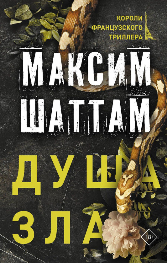 Обложка книги "Шаттам: Душа зла"