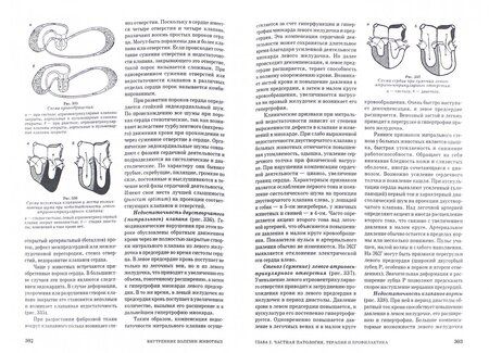 Фотография книги "Щербаков, Алексеева, Яшин: Внутренние болезни животных. Учебник"