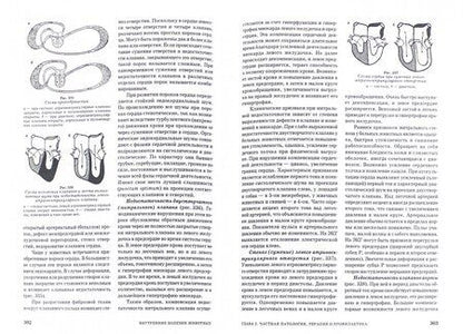 Фотография книги "Щербаков, Алексеева, Яшин: Внутренние болезни животных. Учебник"