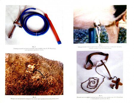 Фотография книги "Щербаков, Яшин, Курдеко: Практикум по внутренним болезням животных. Учебник для вузов"